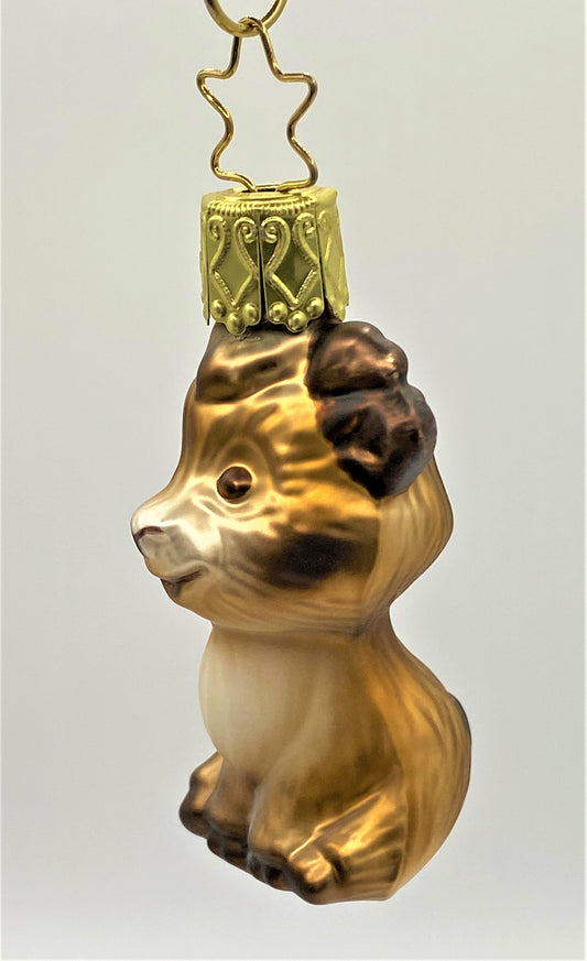 IMG_6875Zho8fs7lgUjiX