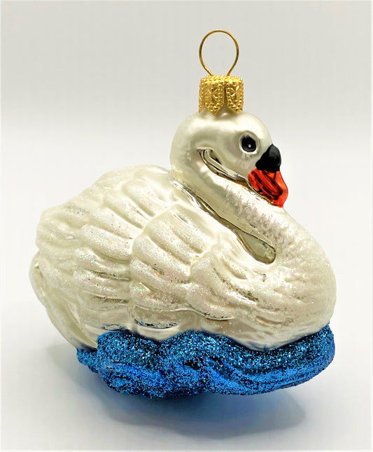 IMG_68874O9R1dwQjpQgF