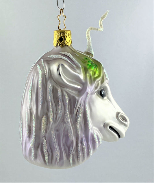 IMG_7009DYR2PCO6ulWLb