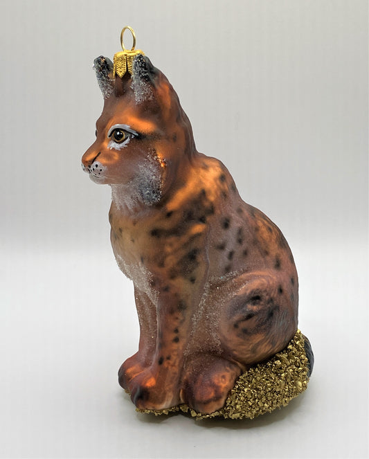 IMG_71364mObc0Wodn0VS