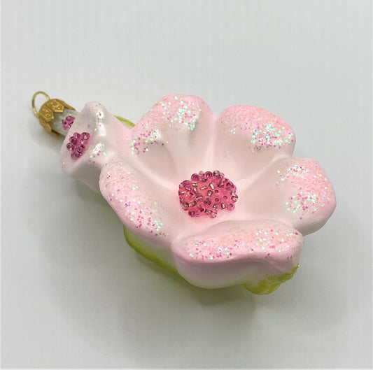 IMG_7224HFB4sbIGYjxsg