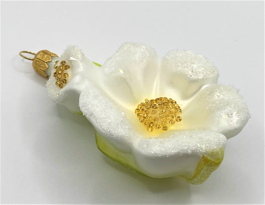 IMG_7229vaE3g0J7Z2QvL