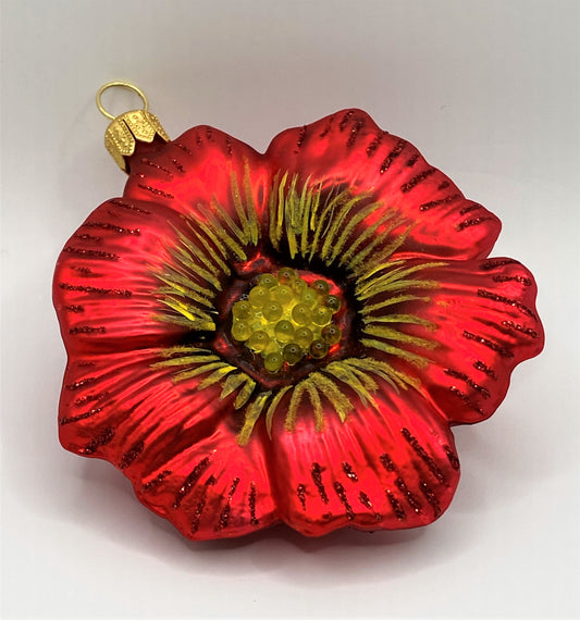 IMG_72346ORe8O4LuTL4o