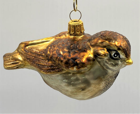 IMG_7247vkL5t4GyQyplE