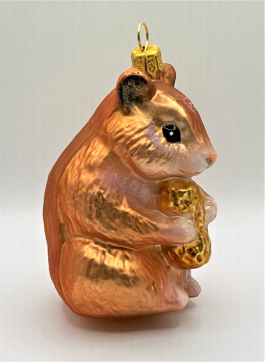 IMG_7281ZisSrlM4KV9ky