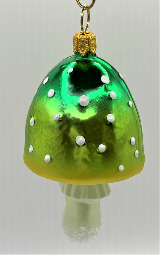 IMG_7297QylKqyuwCjheQ