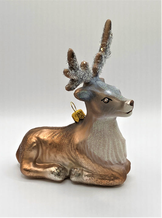 IMG_7331pmleLhmlhrGni