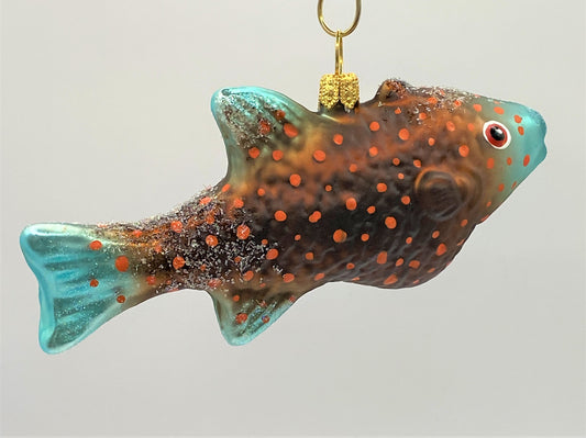 IMG_7368zxklHghePBowN