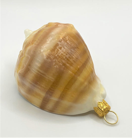 IMG_7371f0tc6zi8t31vQ