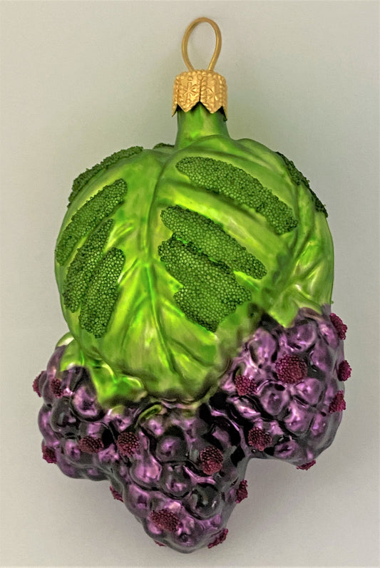 IMG_7501yixpW6FXcyzIe