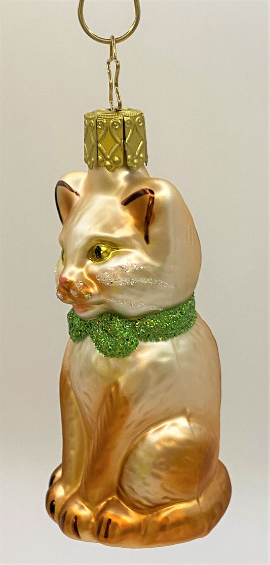 IMG_7529AwfEOCZowr6NZ