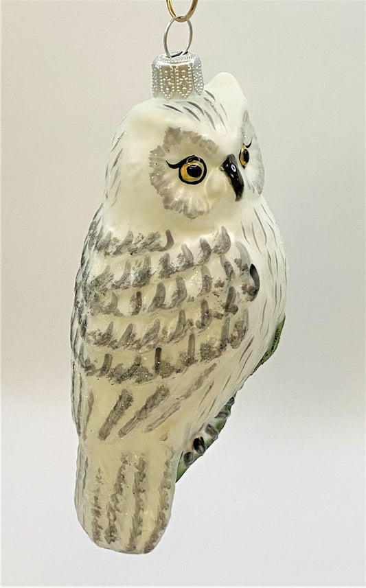 IMG_75375tBvucXJxX3S0