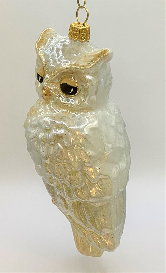 IMG_75465FHboANNoFmdV