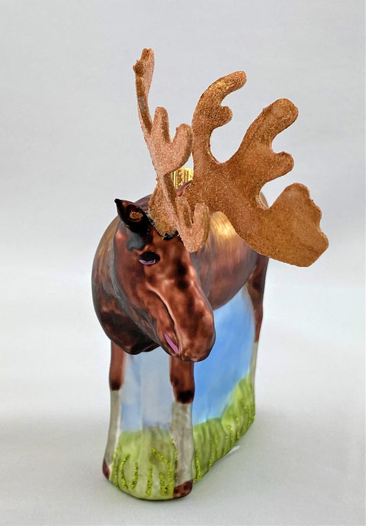 IMG_7752h6I1snc1jOH73