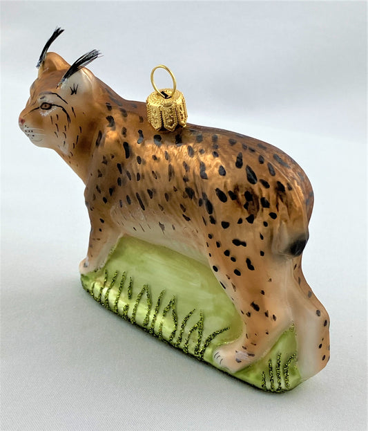 IMG_7796oYtrd5zPmaZCM