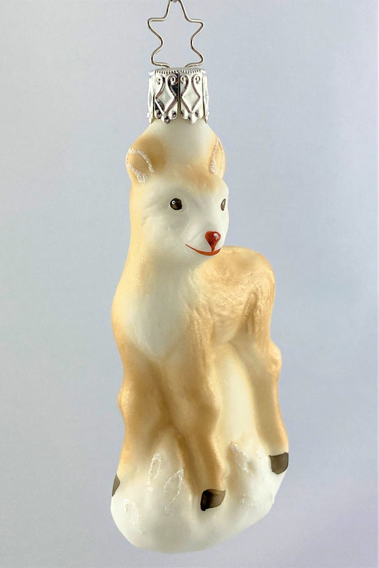 IMG_7833SEovlOAXzDZGw