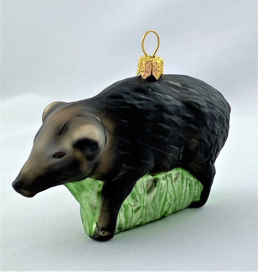 IMG_7848TFGTDRNEGZix9