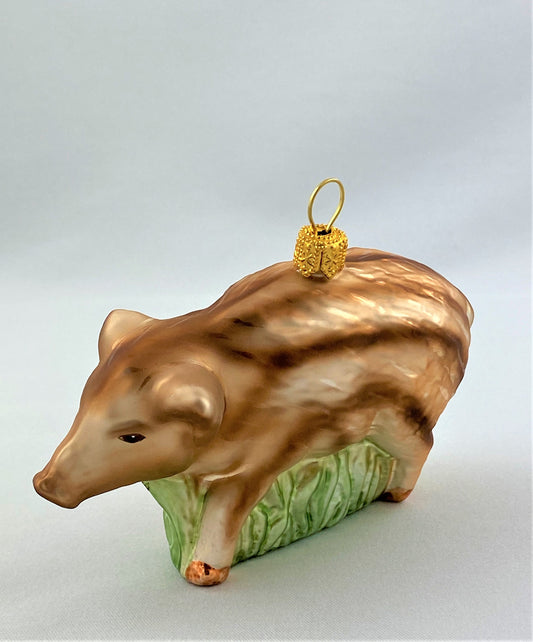 IMG_7873nd2xQZQXFX0Jr