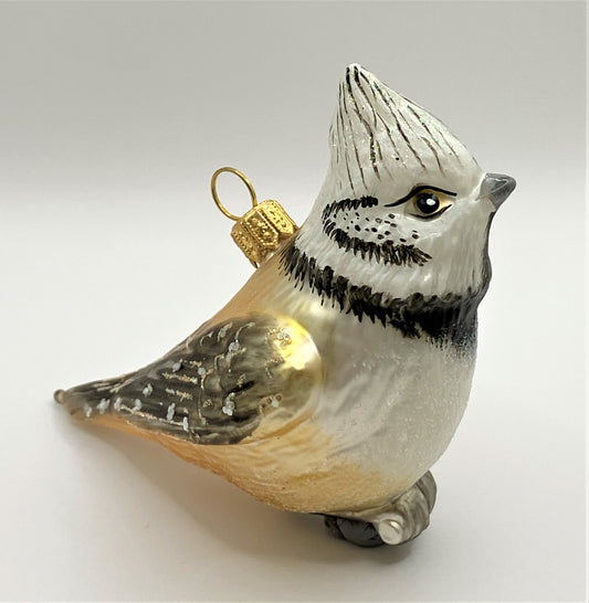 IMG_7875jGXEIDo7NDkJr