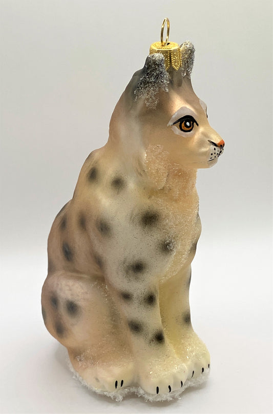 IMG_7879LQAHkEzGx6Kbb