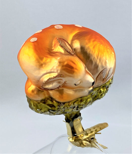 IMG_7905kaDNmd9bMuZzq