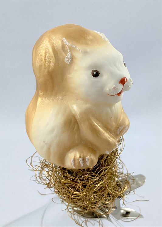 IMG_7909eG56tob0iIKR5