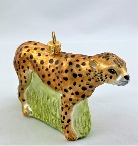 IMG_7915B2fBMlgOnAB5T