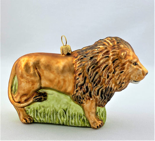 IMG_7940EHvdxkcsomwjC