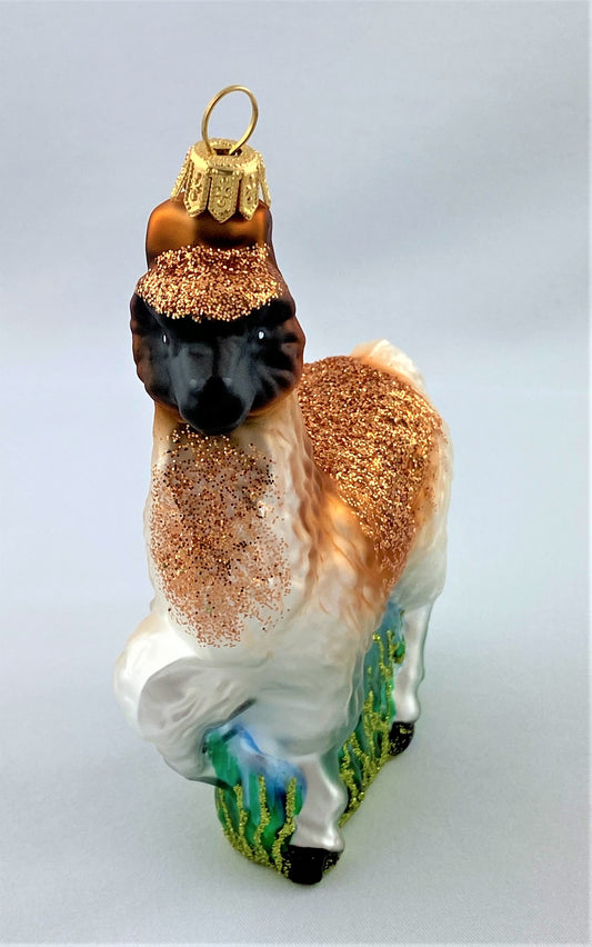 IMG_7970656OXLKRYOAZc