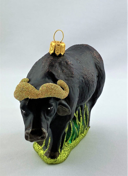 IMG_7978l4CEypioicUWu