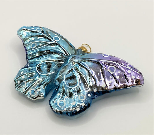 IMG_7980Kiy9sQuUDrq73