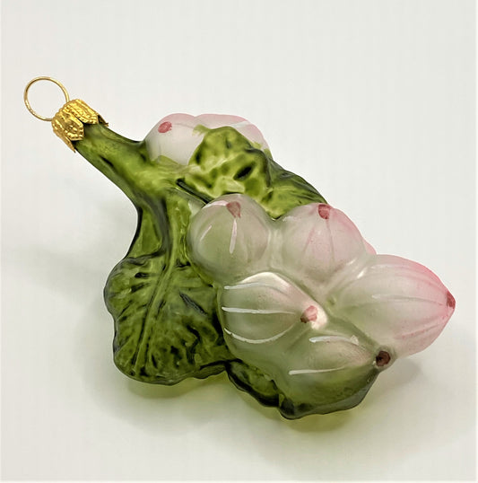 IMG_7986QT4GpH462Wlkd