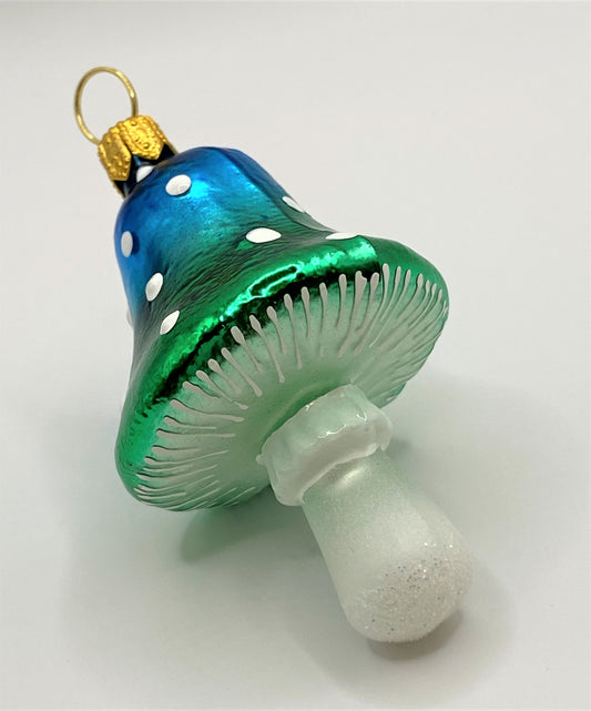 IMG_8003M6COJhMhqDF5R