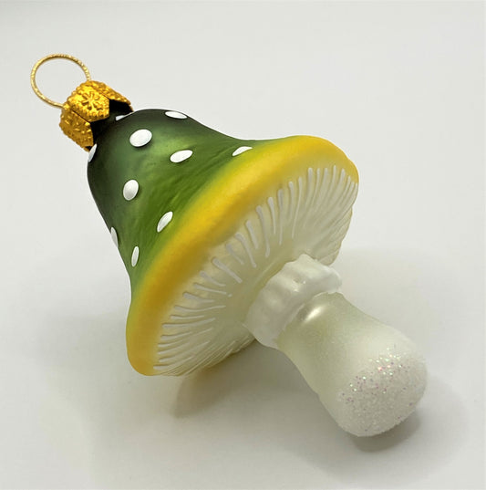 IMG_80064p5mFYkDTCMTB