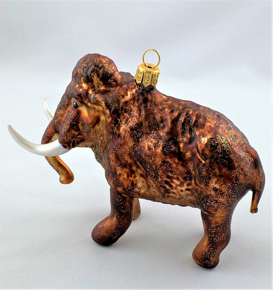 IMG_8007Yp6Q2kTmm0jZN