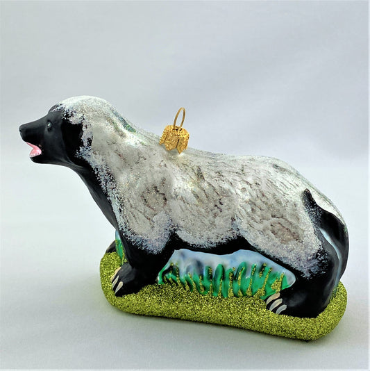 IMG_8020HKPtBU6iJ74uY