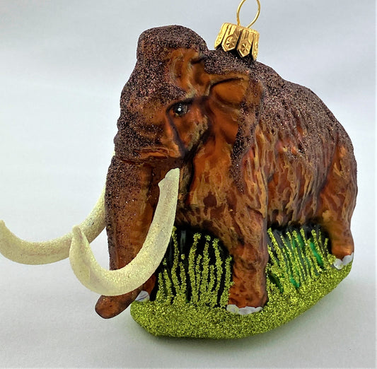 IMG_80245tZ0S1xHMTdY1