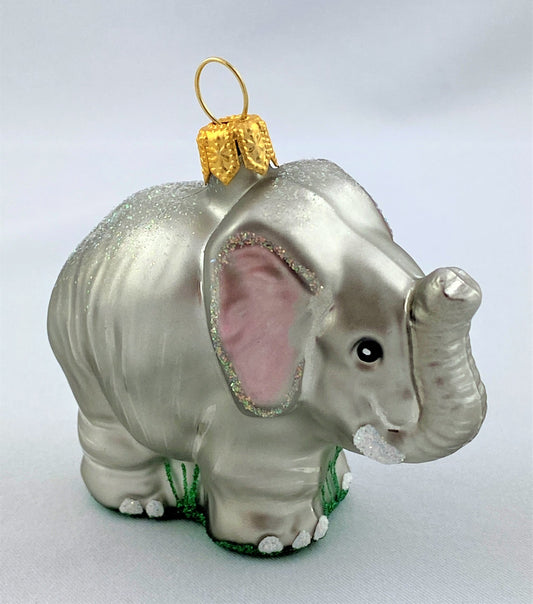 IMG_8040QYW8J04jkvQmJ