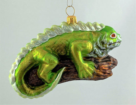 IMG_8061M1bowfU982MV3