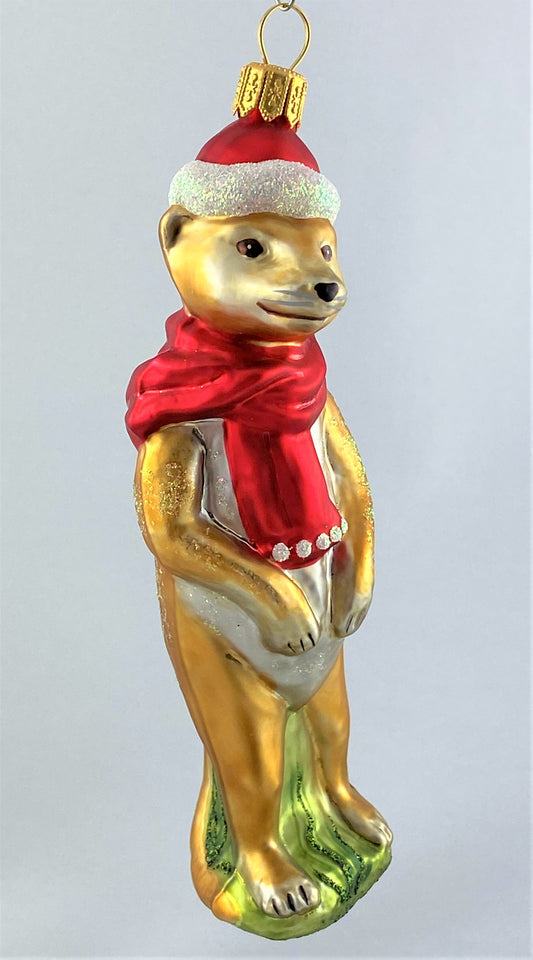 IMG_8072wUistBAdS4gdf