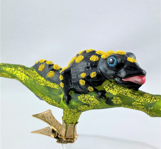 IMG_80967lyyz3VDvlw7h