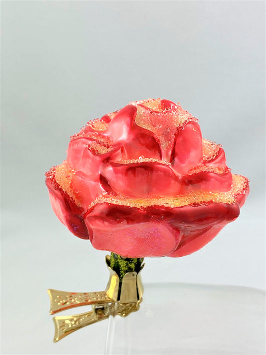 IMG_82938odgbWcEtd9K8