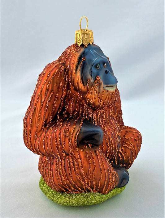 IMG_8358mi6D2UuVsXuzU