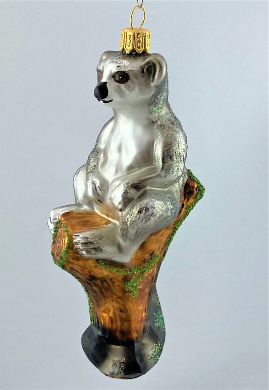 IMG_8361lzhG7UxOMh7dm