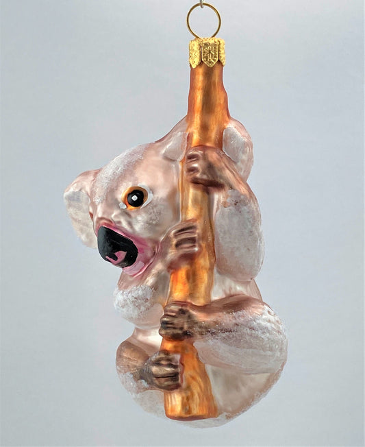 IMG_8404uBYh77Wtp1xWg