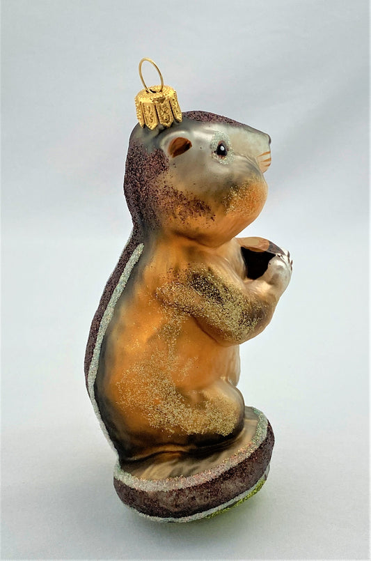 IMG_84156tsKzHwmImy2g