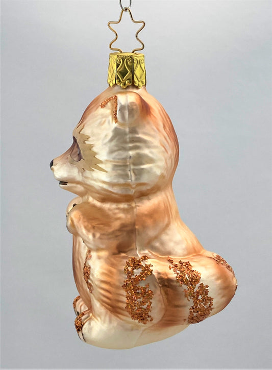 IMG_8418JHKKpQ2A5Q0YZ