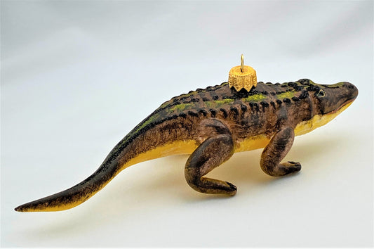 IMG_84291K3XWPGeIvXYl