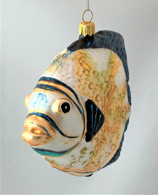 IMG_84477mDAvPOFLmDDs