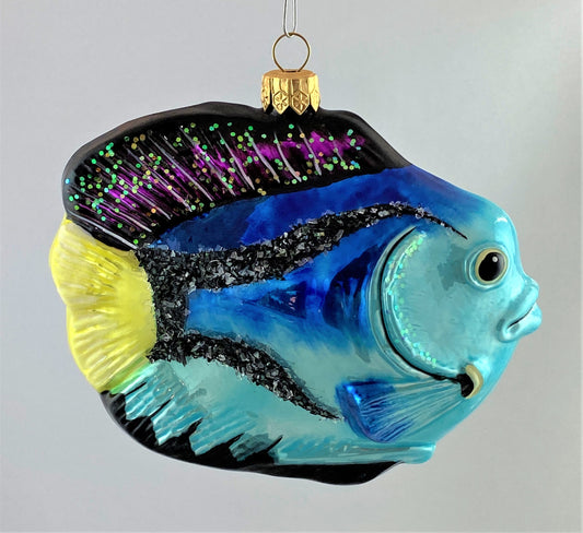 IMG_8468YhzW1iPBBx1Ec